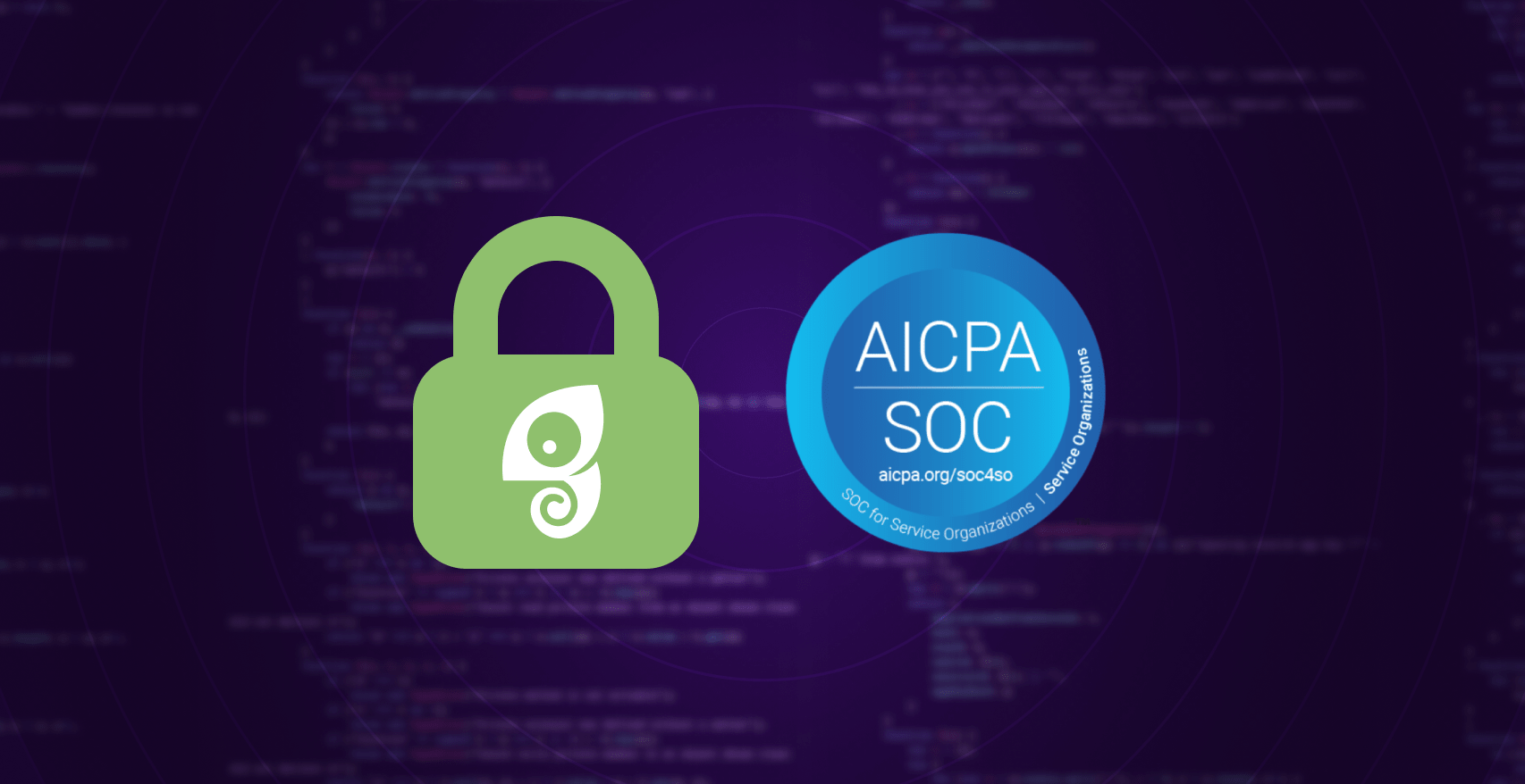 soc2headerchameleon.png