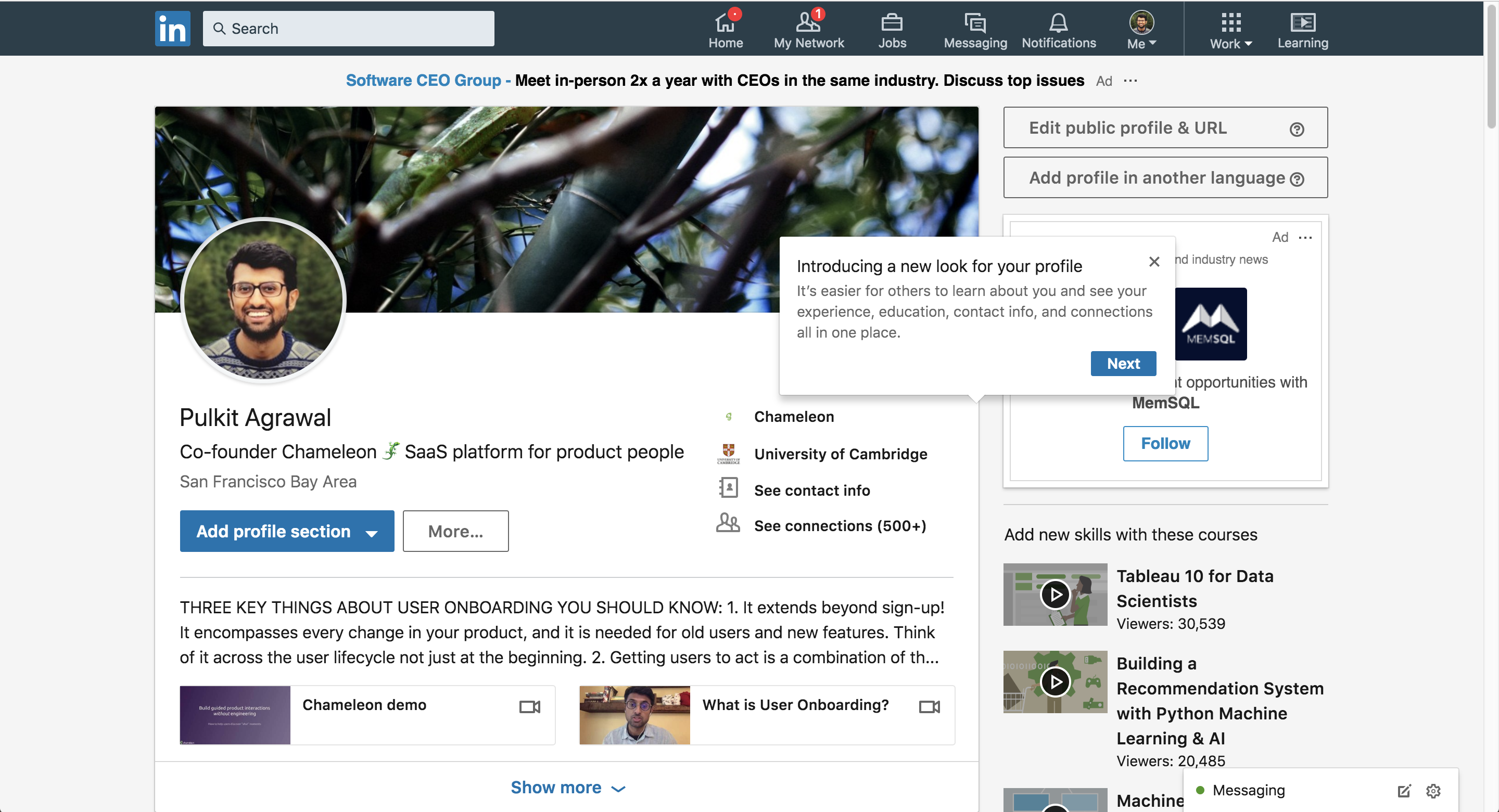 LinkedIn Design Change Tooltip Chameleon