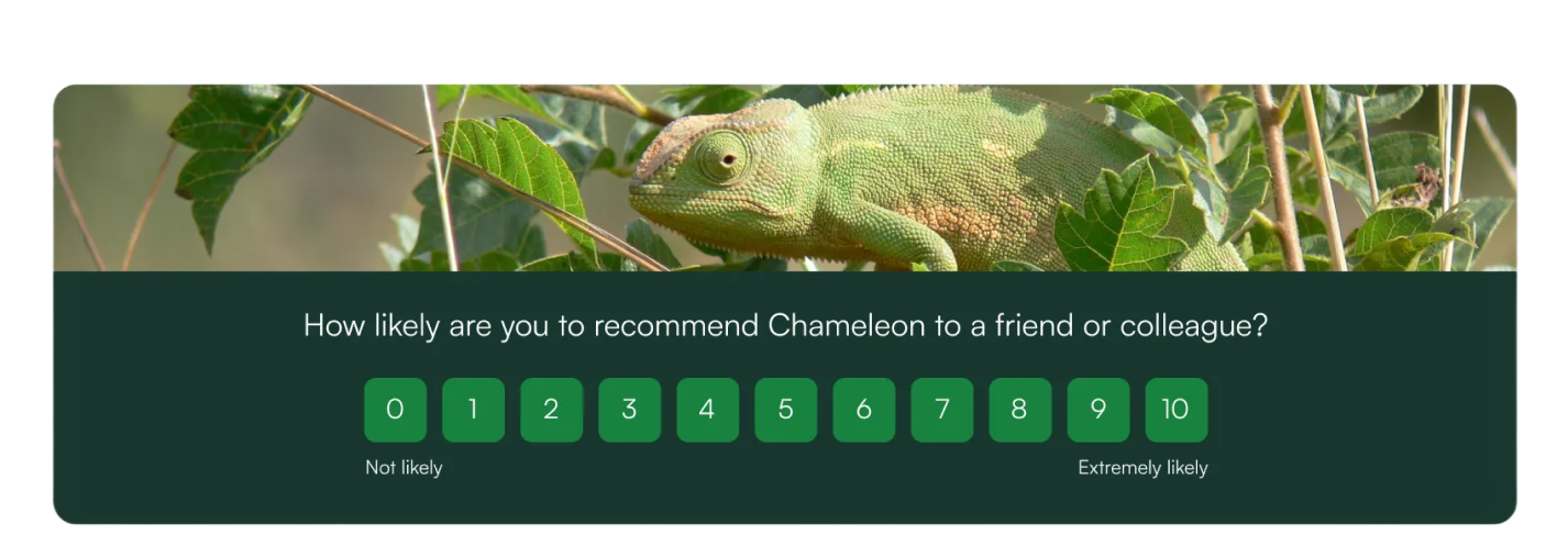 Launch as many NPS surveys as you need