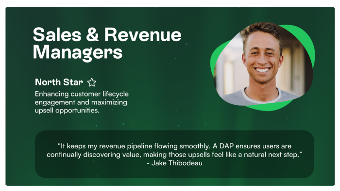 A profile card for Sales & Revenue Managers, with a North Star of enhancing customer lifecycle engagement and maximizing upsell opportunities, and a quote about how DAPs help this persona.