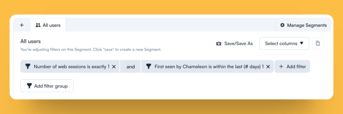 The Chameleon segment builder with two combined user filters applied, showing controls to add more filters or save the configuration as a named segment.