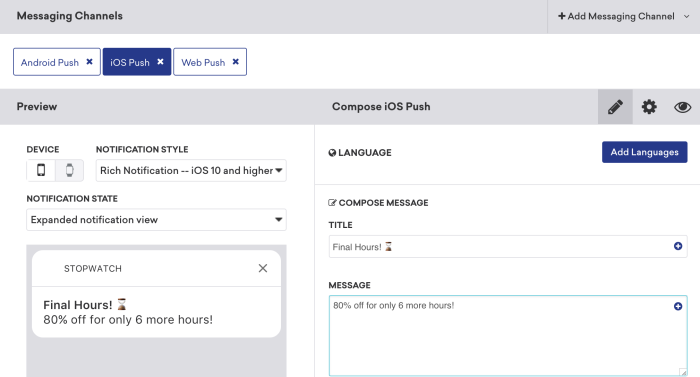 Braze push message building