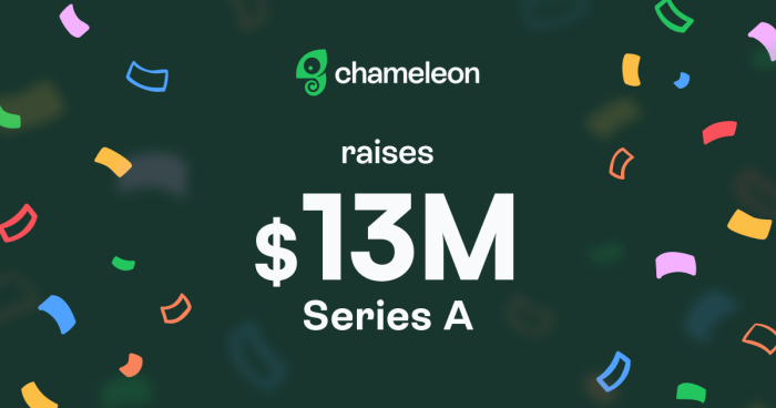 Chameleon raises $13M Series A