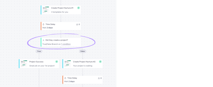 An email campaign workflow with a conditional True/False branch highlighted, routing users to different follow-up emails based on whether they completed an action.