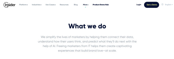 Insider's website 'What we do' section, describing an AI-powered platform for helping marketers connect data and predict user behavior.