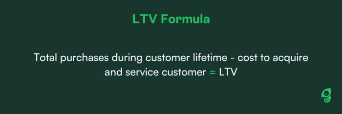 LTV formula: total purchases during customer lifetime minus cost to acquire and service customer equals LTV