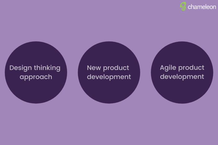 Three types of product development: design thinking approach, new product development, agile product development