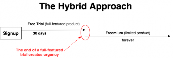 A graphic that shows the hybrid freemium model