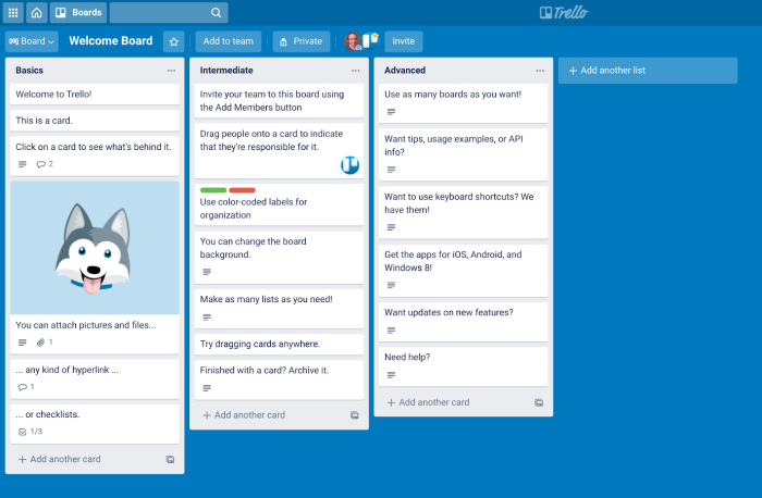 Trello's Welcome Board showing three columns of onboarding cards grouped by skill level.