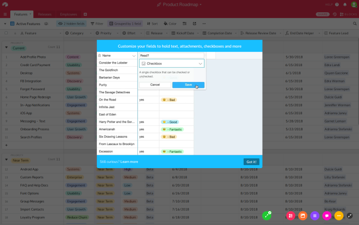 Airtable product tour modal for field customization