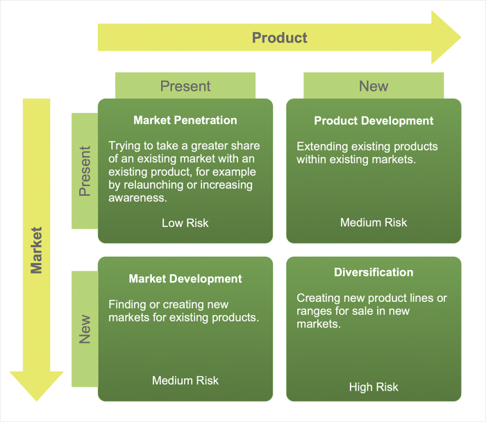 The Ansoff Matrix: a 2×2 grid plotting four growth strategies — Market Penetration, Product Development, Market Development, and Diversification — on Present/New Product and Market axes, each labeled with a risk level.
