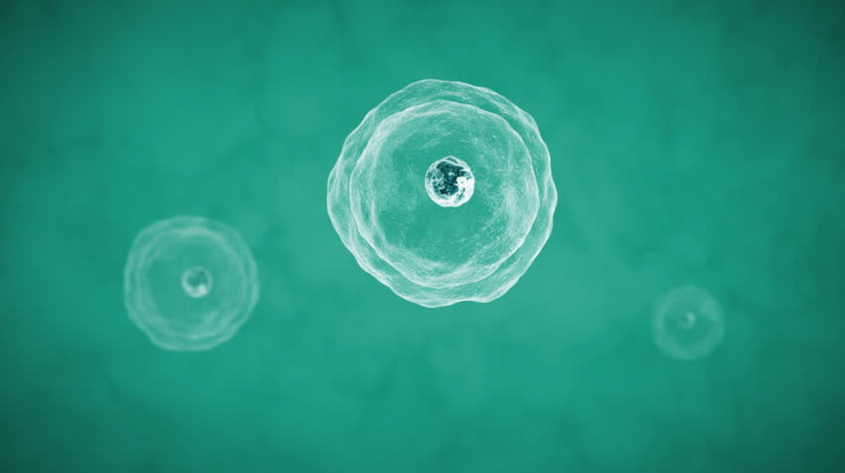 A 3D rendered close-up of cells floating against a teal background, with one large detailed cell in the foreground.