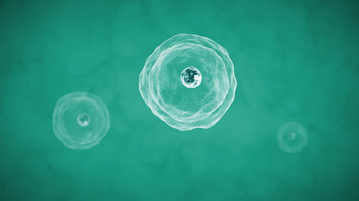 A 3D rendered close-up of cells floating against a teal background, with one large detailed cell in the foreground.