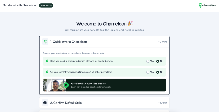 An image of Chameleon's color accent