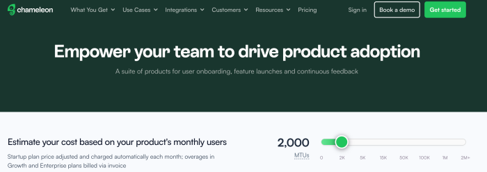A screenshot of the MTU slider that influences Chameleon’s pricing plans