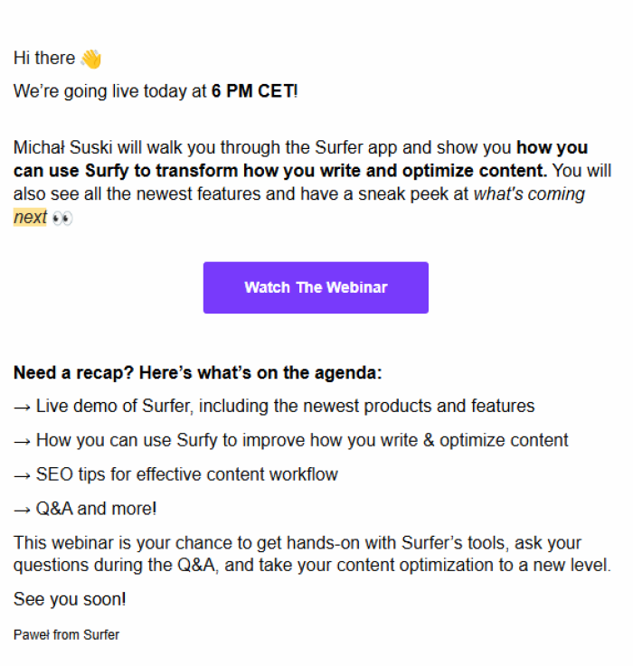 An image of Surfer SEO's newsletter