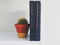 Two Jon Duckett web development books — HTML & CSS and JavaScript & jQuery — standing upright on a shelf beside a small potted cactus.