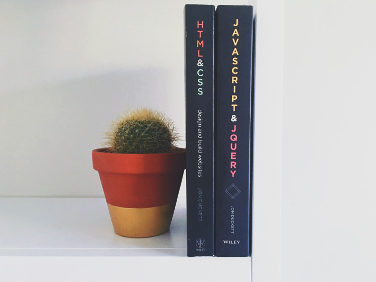 Two Jon Duckett web development books — HTML & CSS and JavaScript & jQuery — standing upright on a shelf beside a small potted cactus.