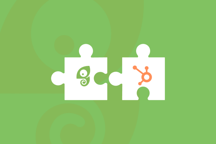 The Chameleon and HubSpot logos on interlocking puzzle pieces.