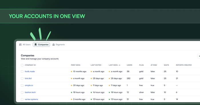 Chameleon dashboard's Companies view showing a table of accounts with columns for activity recency, user count, plan tier, and at-risk status.