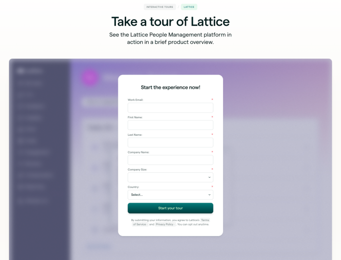 Lattice Gated Interactive Demo