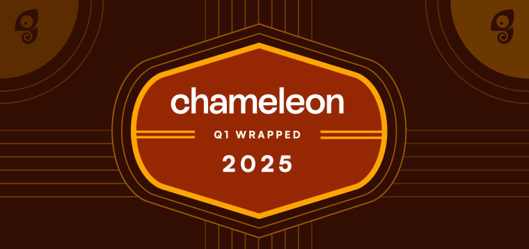 Retro-styled badge with the Chameleon wordmark and 'Q1 Wrapped' text, set against a guitar-inspired background.