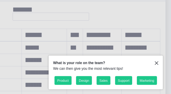 Example of a persona identification survey