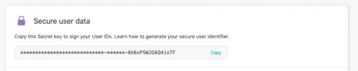 A screenshot from the Setup flow showing the secure key field