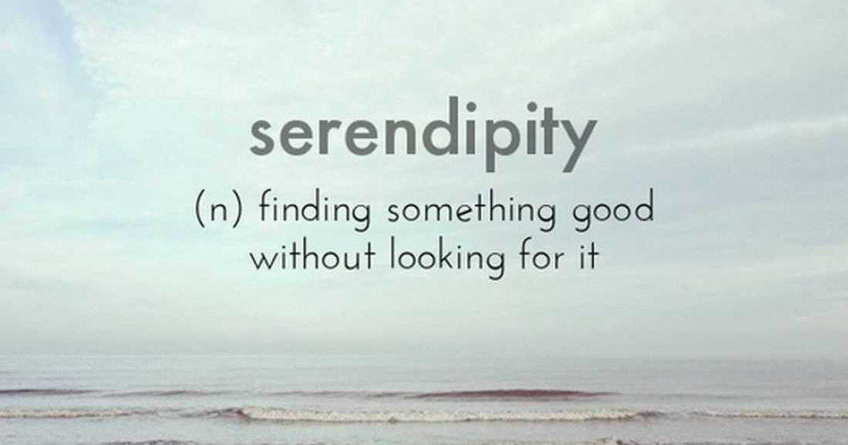 How to Create Serendipity at Your Startup Chameleon
