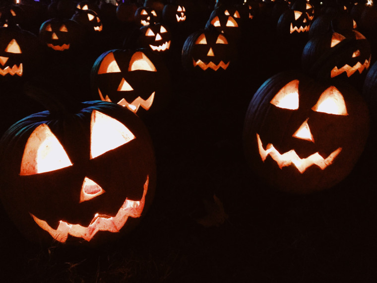 A crowd of glowing jack-o'-lanterns in the dark.
