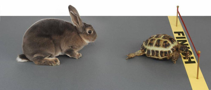 A hare seated on the left watching a tortoise at the finish line on the right.