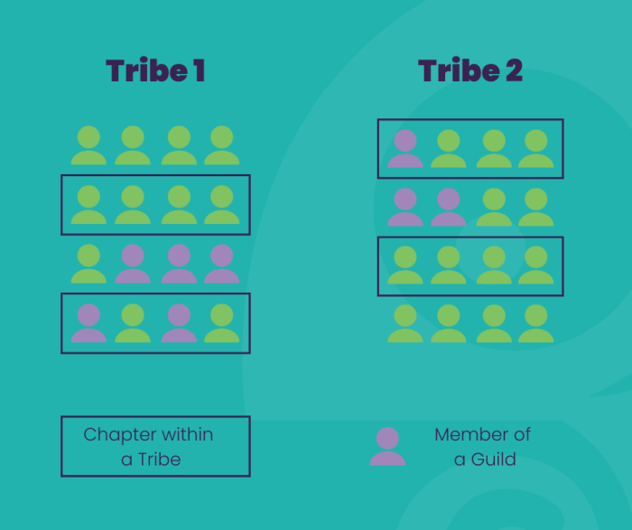 A diagram of the Spotify squad model showing two Tribes, each containing Chapters (boxed groups) and Guild members who span across both Tribes.