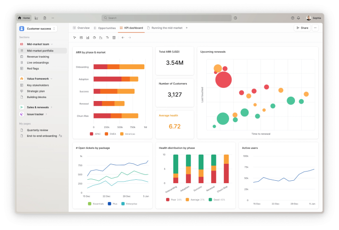Planhat interface with KPI dashboard