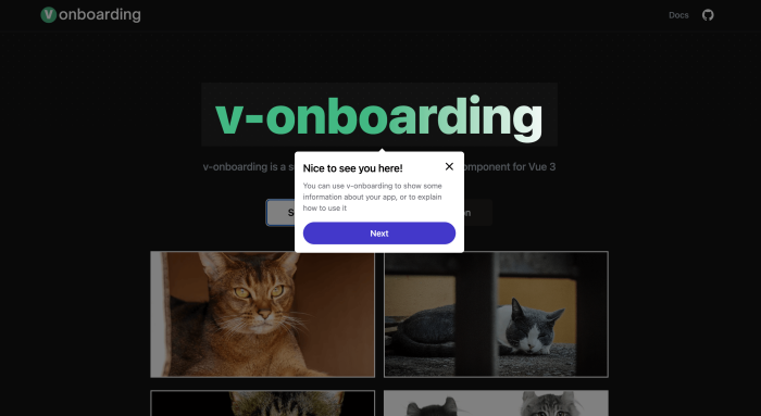 An example of v-onboarding in action