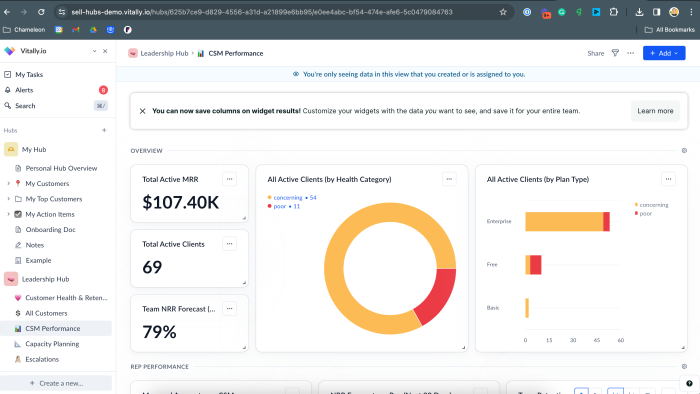 An embedded banner in Vitally.io's dashboard announcing a new feature capability, with a help-doc CTA.