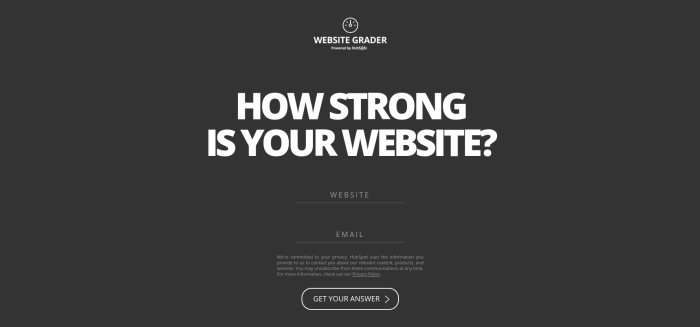 HubSpot's Website Grader tool with the headline 'How Strong Is Your Website?' and input fields for website URL and email address.