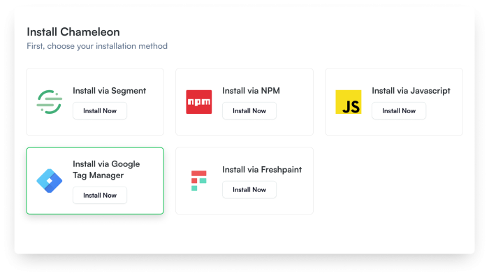 Use Google Tag Manager to install Chameleon