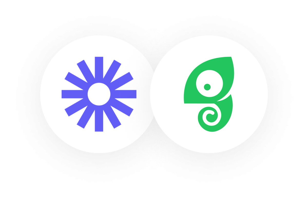 The Loom and Chameleon logos side by side