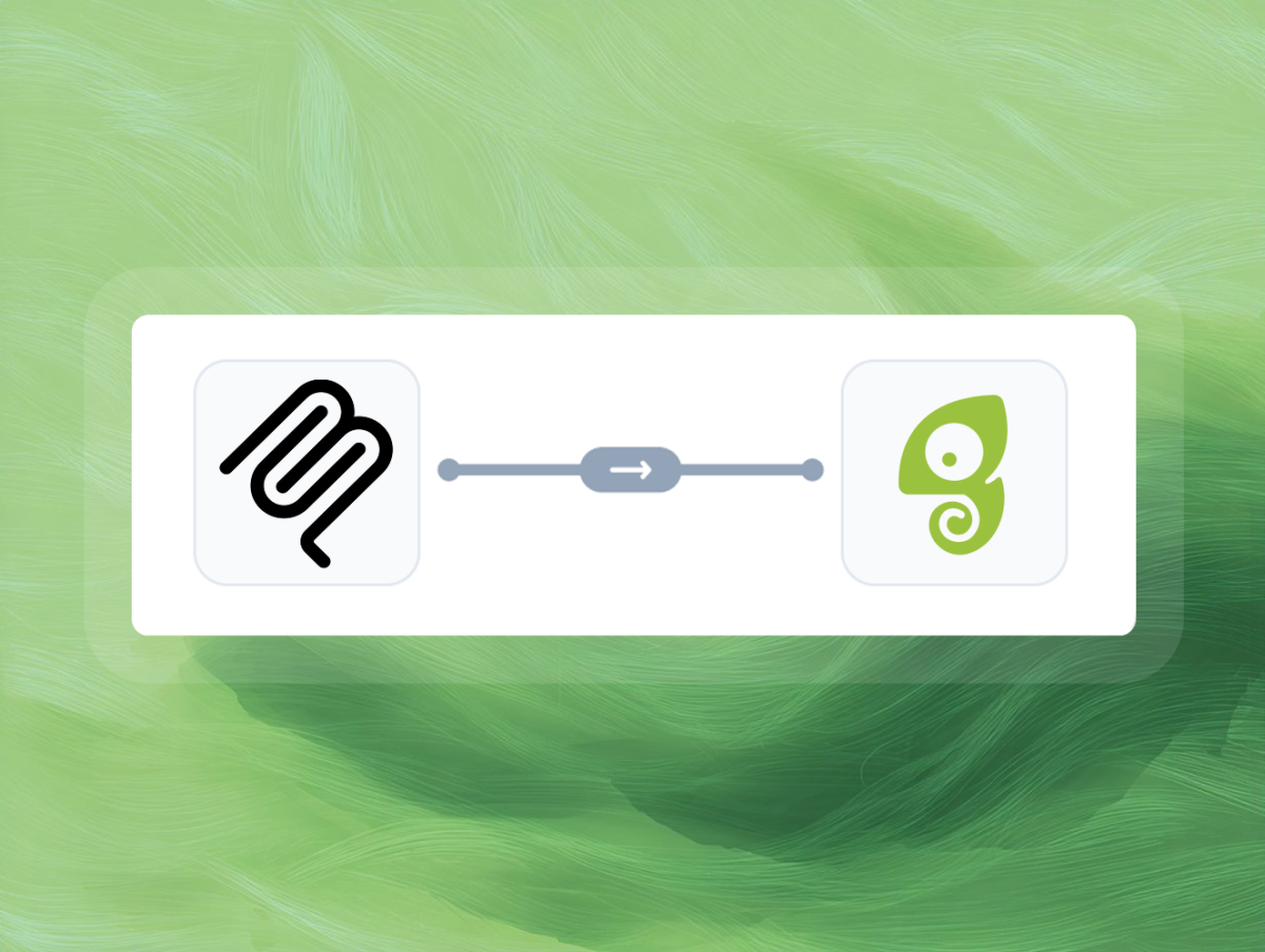 The MCP logo connected by an arrow to the Chameleon logo.