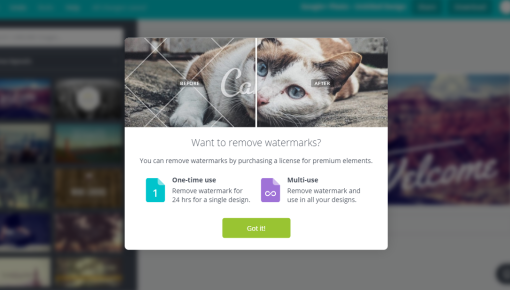 canva premium feature prompt