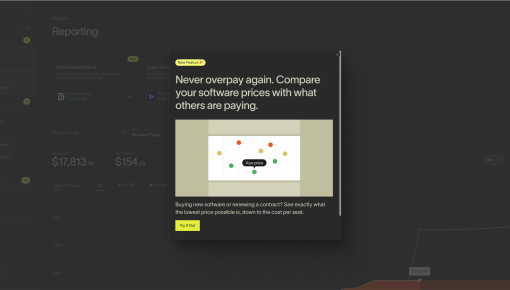 A new feature announcement modal in Ramp's dashboard, featuring a bold headline, an embedded visualization, body text, and a 'Try It Out' CTA.