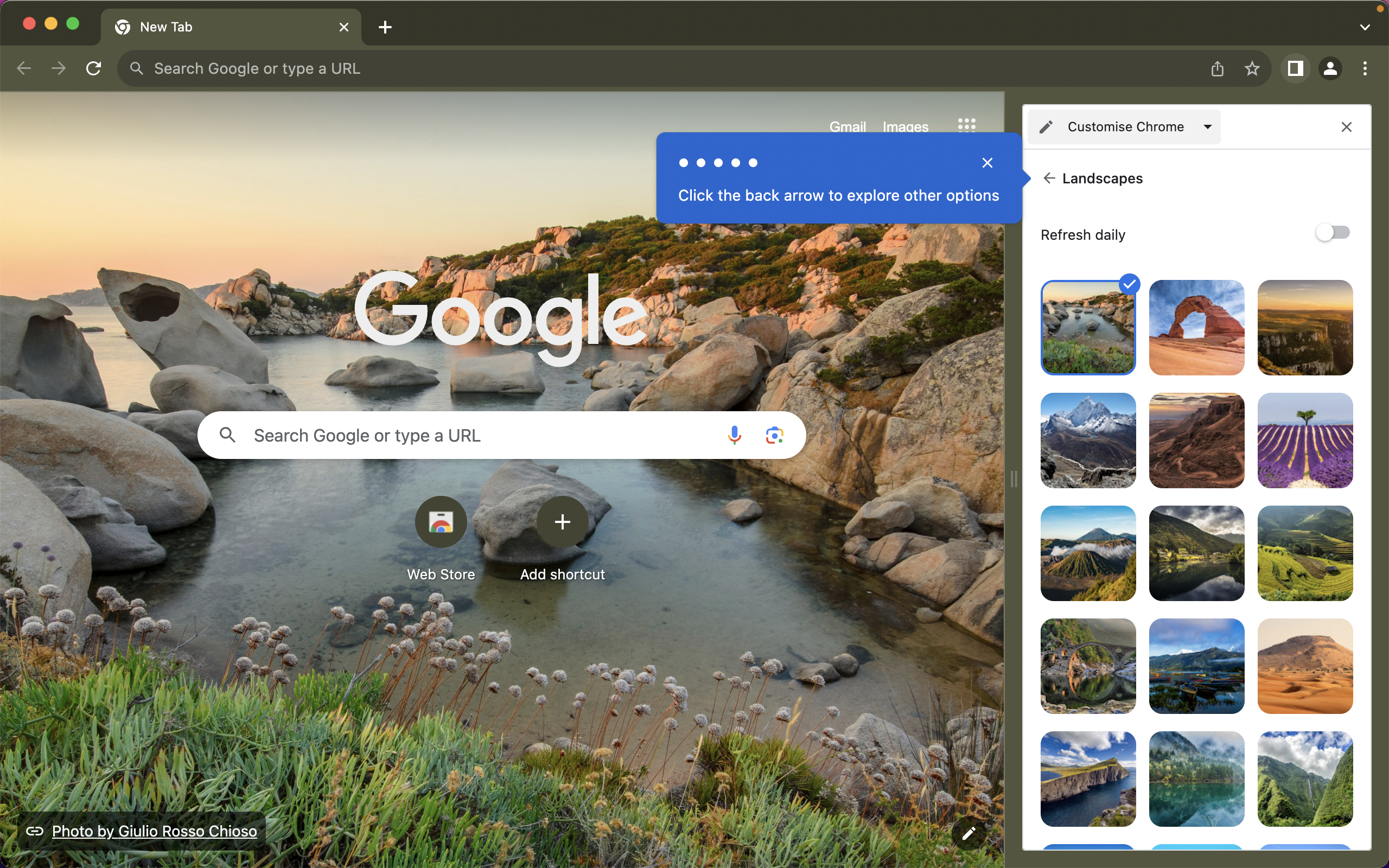 A step in Chrome's New Tab customization tour, with the Landscapes wallpaper category open in the side panel.